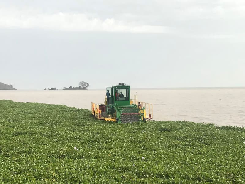 Barco de limpieza automática de agua/Recolector de malezas acuáticas/Barco desnatador de basura