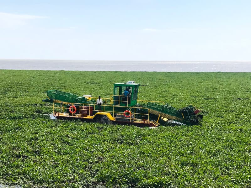 Barco de limpieza automática de agua/Recolector de malezas acuáticas/Barco desnatador de basura