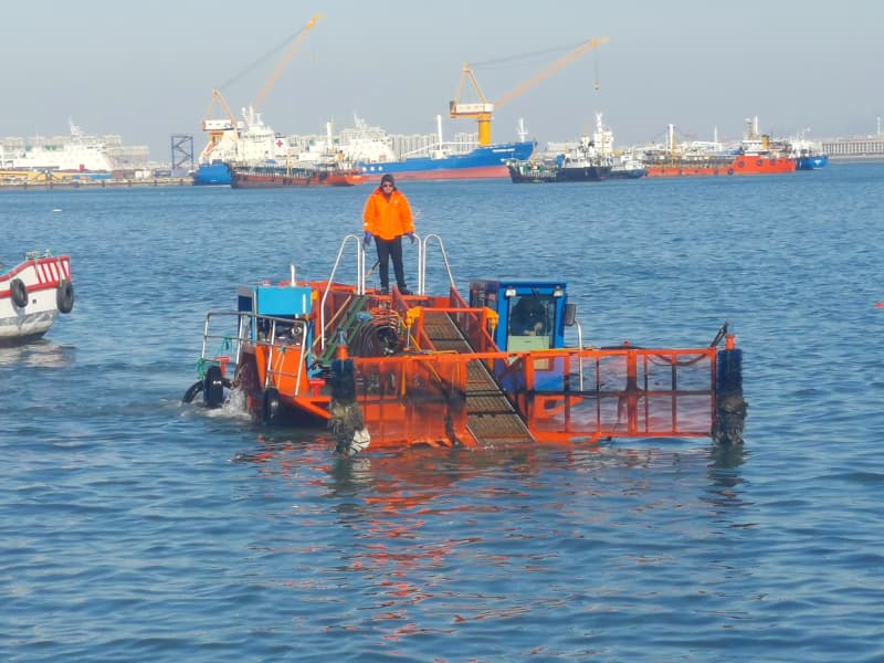 Barco de limpieza automática de agua/Recolector de malezas acuáticas/Barco desnatador de basura