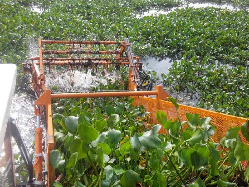 Barco de limpieza automática de agua/Recolector de malezas acuáticas/Barco desnatador de basura