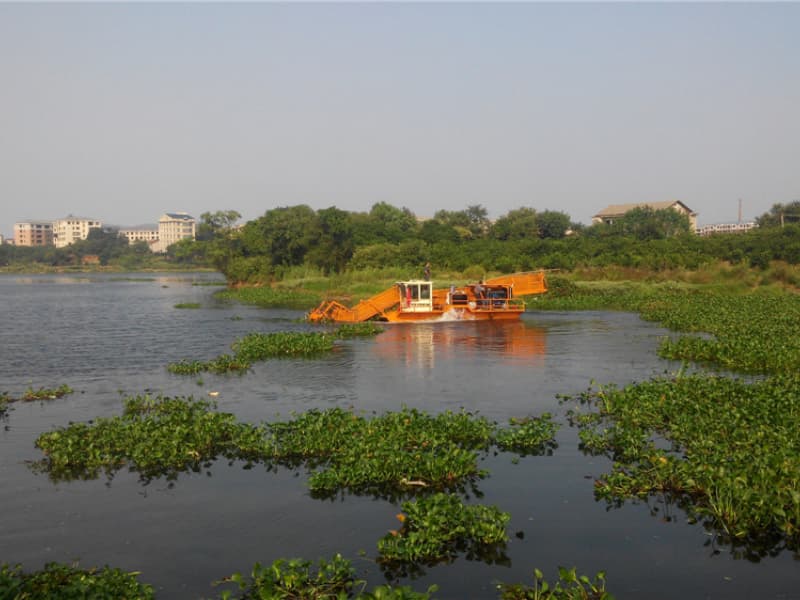 Barco de limpieza automática de agua/Recolector de malezas acuáticas/Barco desnatador de basura